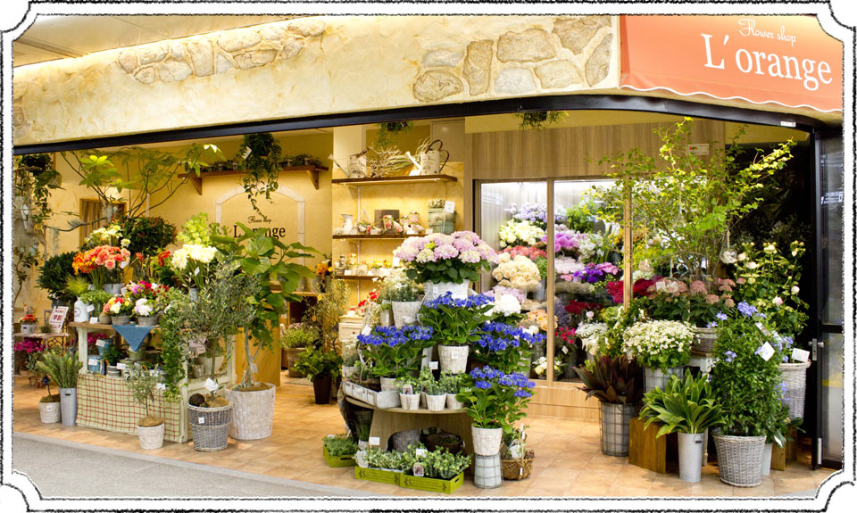 梅田駅近くの人気のお花屋さんまとめ 色鮮やかなお花からアレンジメントまで Pathee パシー