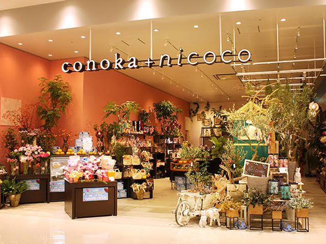 コノカ+花と緑の雑貨屋さんnicoco　イオンモール高岡店